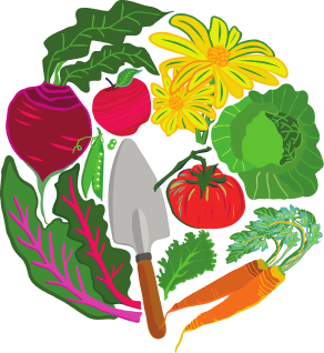 Groente-jaarabonnement