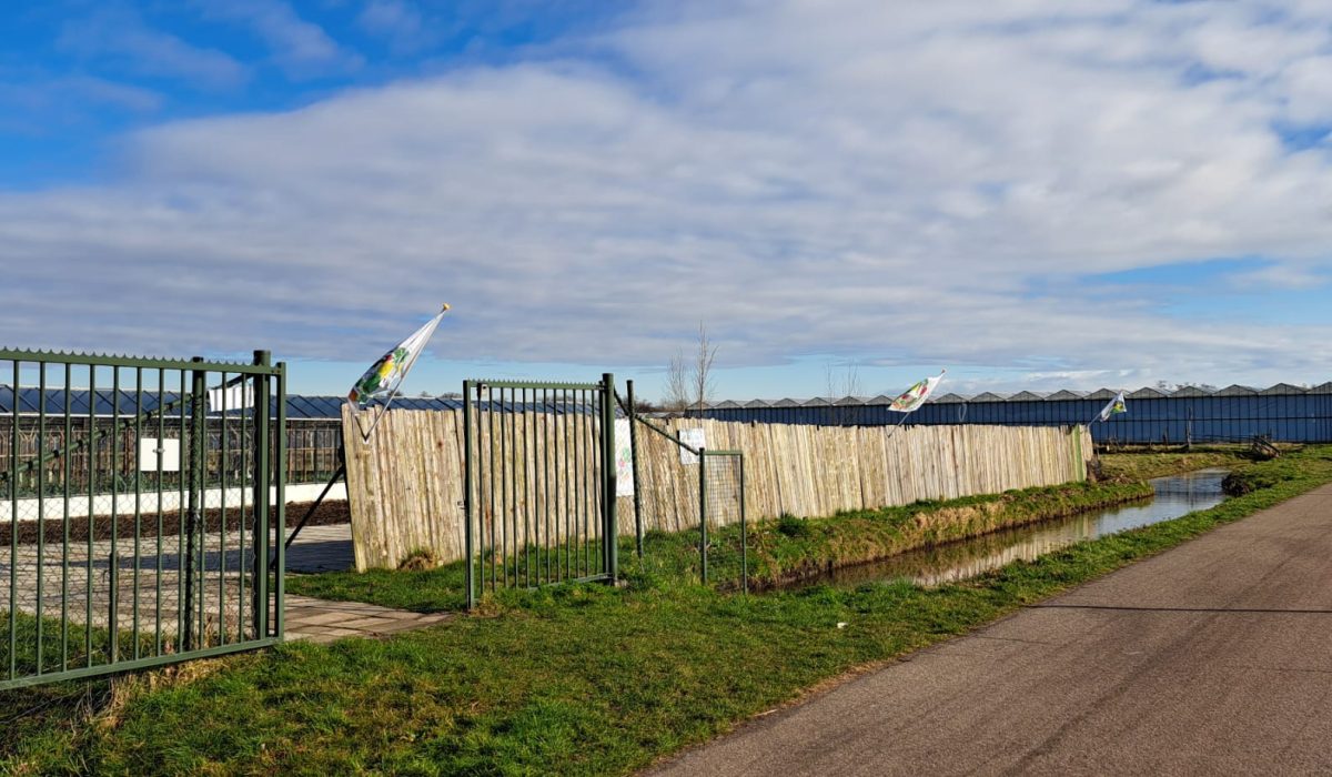 WhatsApp Image 2025-03-31 at 13.54.31